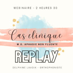 Replay webinaire Cas clinique « aphasie non fluente »